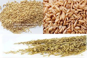Naked Oats