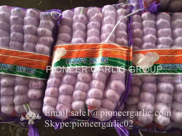 Small Packing 5.5-6cm Fresh Red Garlic Produced In Jinxiang Shandong China photo-4