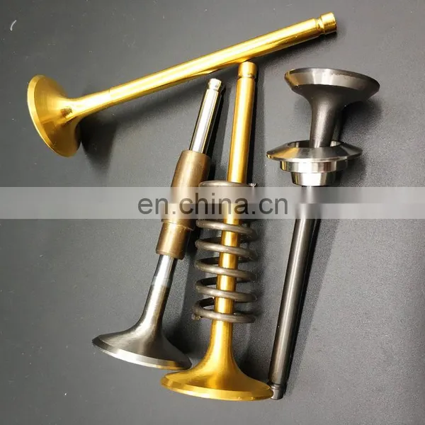 Wholesale Market Racing Engine Valve For Nissan Note Tiida Qashqai Juke Micra Wingroad Cube HR16DE Renault K4M H4M 1.6L photo-3