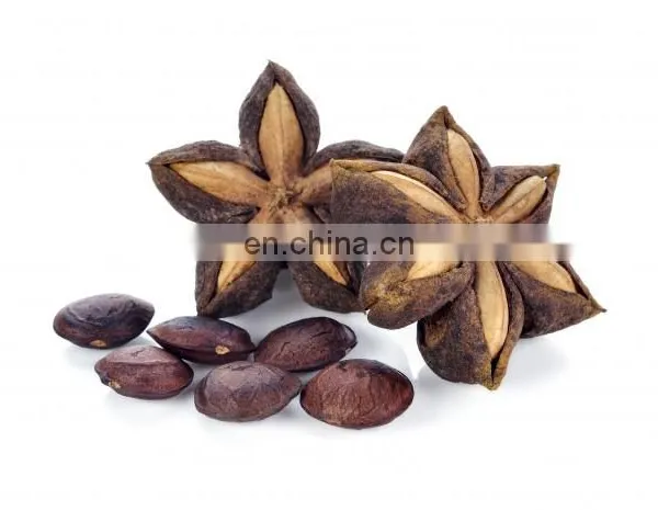 100% Organic Sacha Inchi Wholesale/Supply SACHA INCHI From VIETNAM With Good Price photo-2