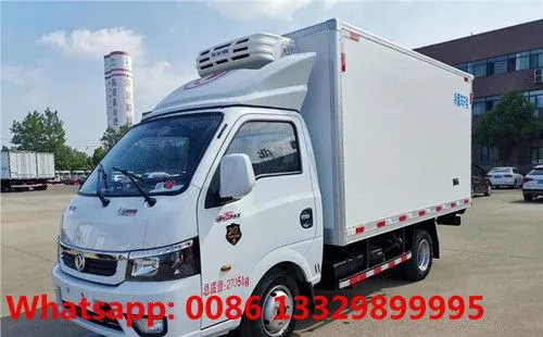 Customized Dongfeng Tuyi 4*2 LHD Petrol Engine Mini Refrigerated Van Truck for Sale 0.5T-1T photo-2