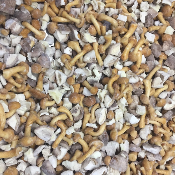 Hebei Hangen Import And Export Co.,ltd company overview - view 4