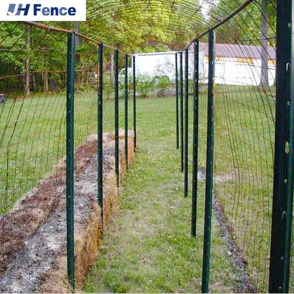 Hot Dipped Galvanized t Post Vineyard Trellis Post photo-6