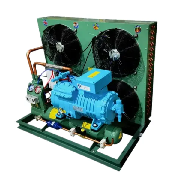 Choose Refcomp Compressors for Cold Storage Air-cooled Units. Customized by Cold Storage Refrigeration Equipment and Freezing Unit Factory photo-5