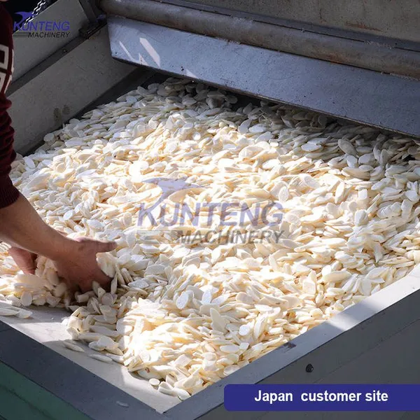 Vegetables Drying Machine for Radish and Potato Continuous Drying Equipment EPC photo-2