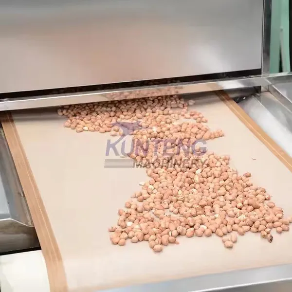 Agricultural Products Dryer Machine Industrial Grains and Nuts Microwave Dryer EPC photo-2