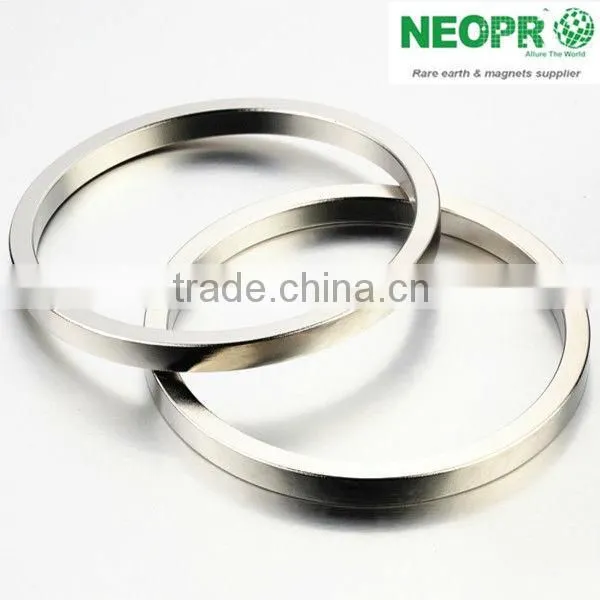 Customized Permanent Neodymium NdFeB Magnet photo-3