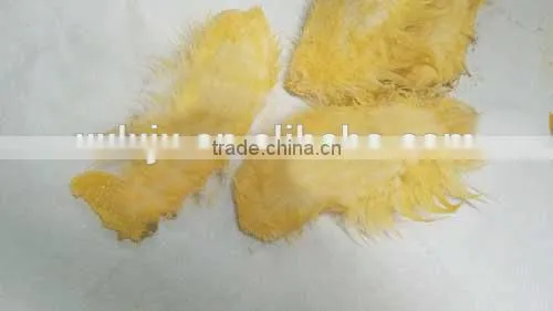 Best Seller For Mango Seed Remover Machine With Lowest Price In China photo-3