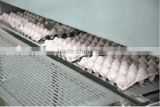 Polystrene Foam Tray Making Machine photo-4