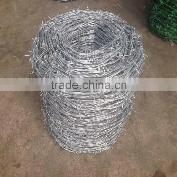Hot Dipped Barbed Wire for Security photo-3