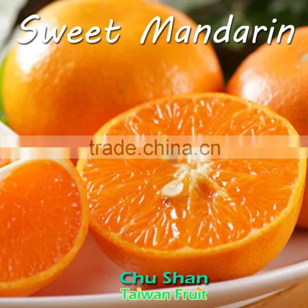 Grade A Fresh Mandarin Orange Citrus Fruit photo-4