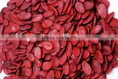 Supply Melon Seeds , Good Quality Red Watermelon Seeds Kernels for Sale photo-3