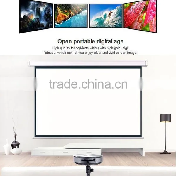 CE Certificated 60"-300" Motorized Projection Screen With Iron Housing photo-3