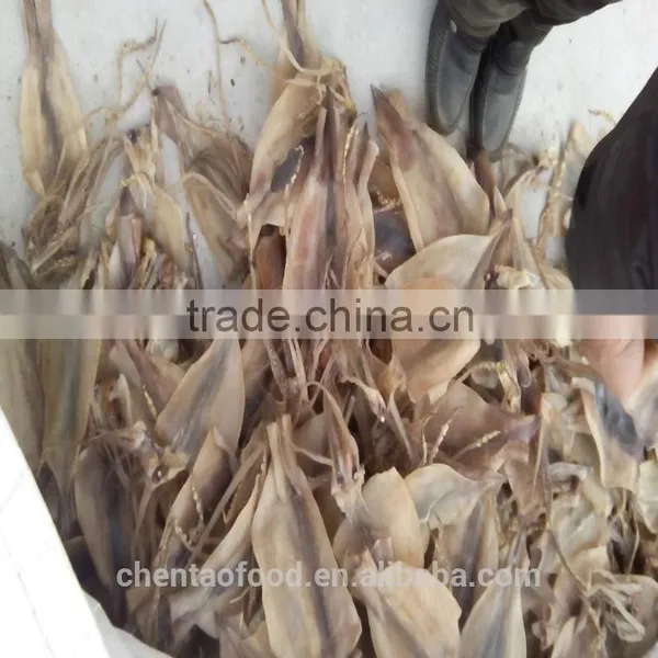 Dried Squids photo-3