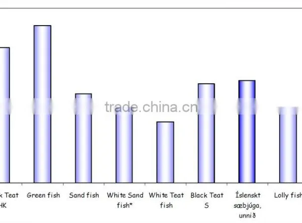 Sea Cucumber Whole Frozen photo-3