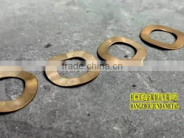CRINKLE WASHER/ BERYLLIUM COPPER 13X22X1.8