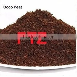 Best Quality Cocopeat 5kg for Sales photo-6