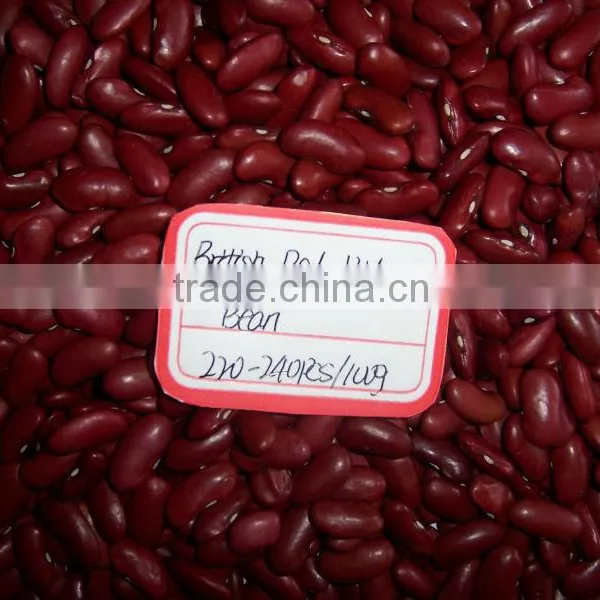 Chinese Red Kidney Bean Original Wholesales Price photo-5