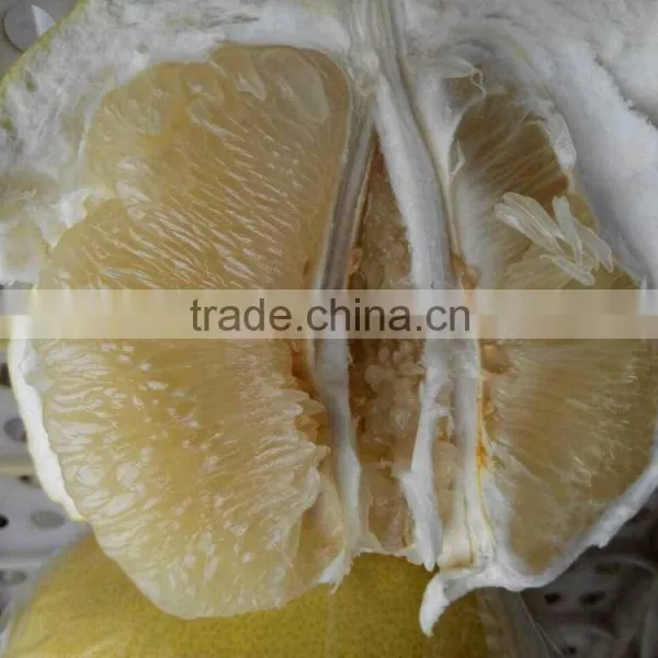 Late Honey Pomelo photo-6