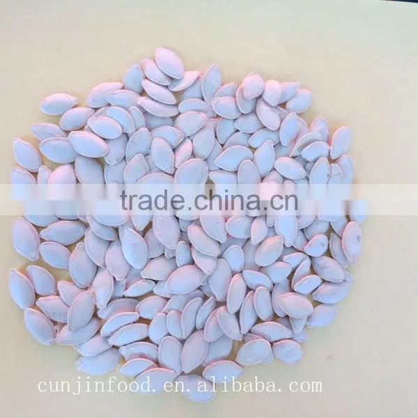 Export Grade Pumpkin Seeds in Shell photo-4