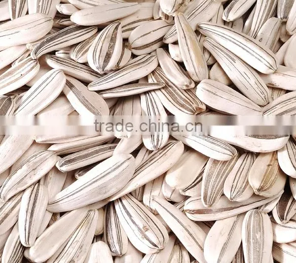 Sunflower Seeds