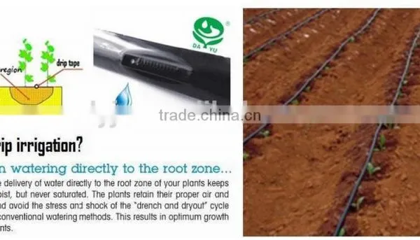 Irrigation Drip Tape and Pipe photo-3