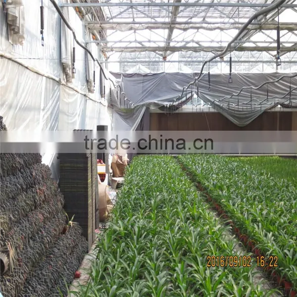 Fully Automated Light Deprivation Greenhouse photo-6