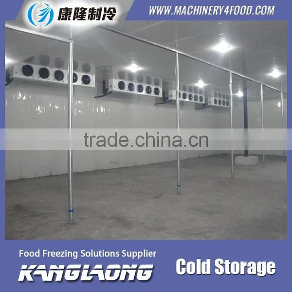 China Factory New Technology Refrigerator Freeze Temp photo-3