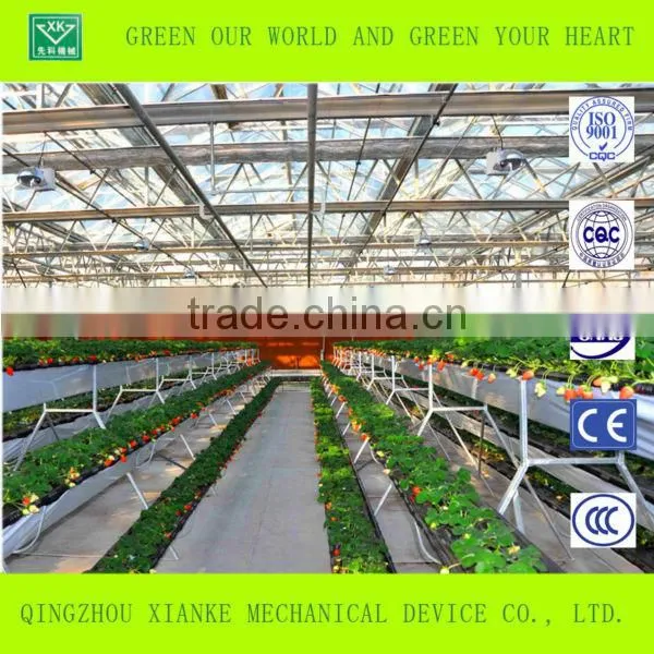 High Tunnel Greenhouse photo-2