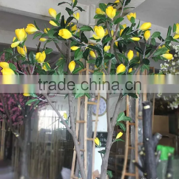 GNW BLS034 Magnolia Bonsai Tree Wedding Hotel Reception Trees For Sale photo-2