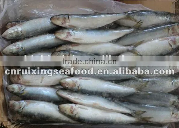 2016 Best Quality Canned Sardine From China photo-3