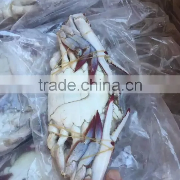 Frozen Blue Swimming Crab photo-4