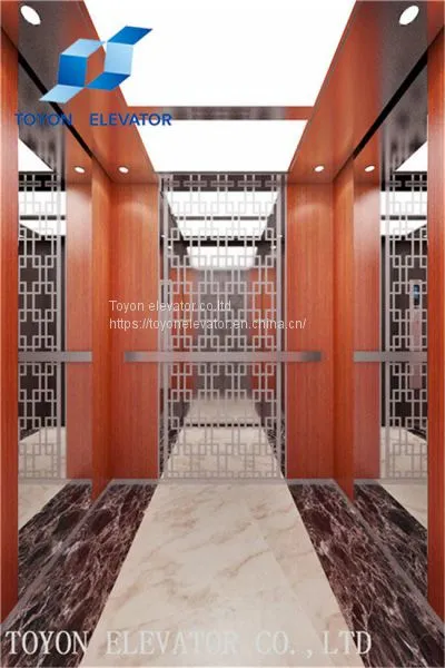 Toyon Villa Lift for Residential and Home Elevator photo-5
