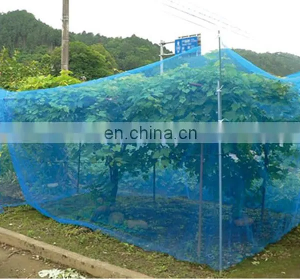 Anti Insect Net to Thailand, Insect Proof Net, Greenhouse Insect Net photo-2