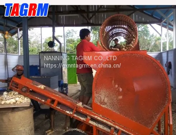 Large Capacity and Good Peeling Rate Cassava Peeler MSUPC / Cassava Skin Cleaning Machine / Cassava Peeling Machine photo-2