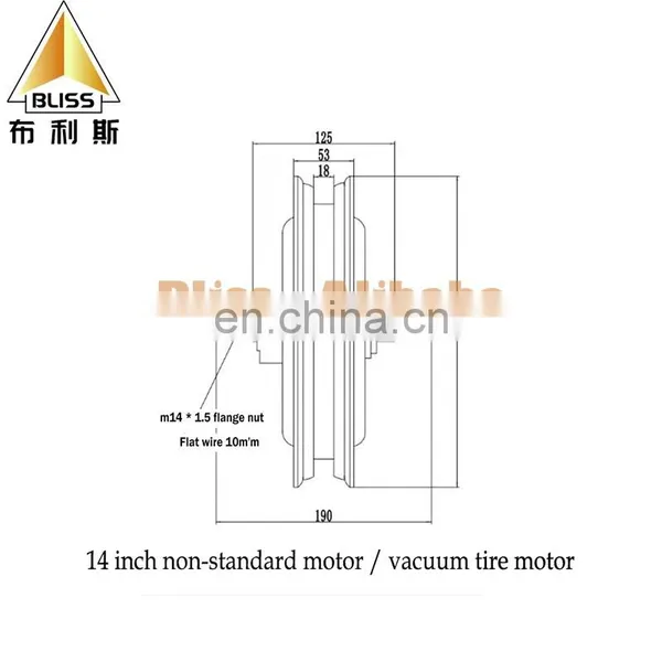 Chongqing Bliss Hub Motor Motorcycle 8kw Hub Motor and Controller Hub Motor 24/36/48V photo-3