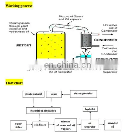 New Arrival Extraction Equipment Distillation Machine Distiller Extraction Machine in Industrial Field photo-5