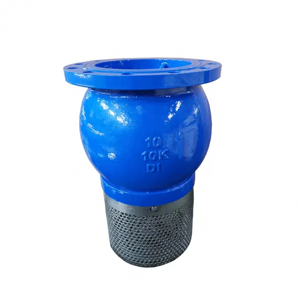 JIS/ANSI/DIN PN16 Cast Ductile Iron Flange Check Foot Valve With Stainless Steel Filter Water Pump photo-2