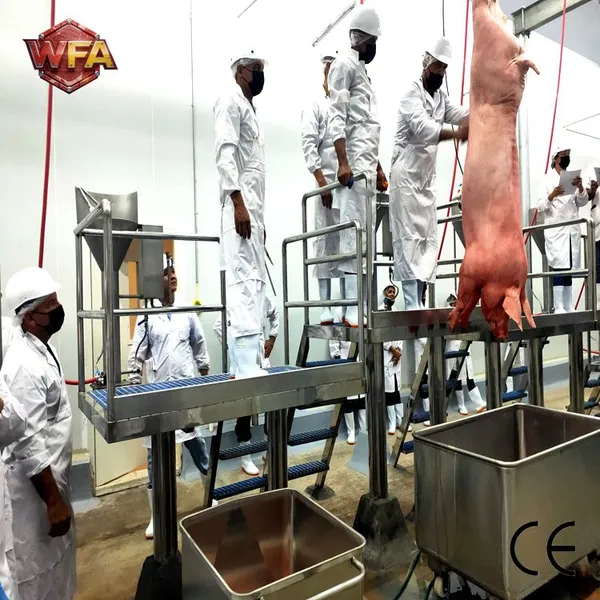 Automatic Pig Slaughtering Line 50-200 Heads Per Shift Abattoir Machine Slaughterhouse Hog Slaughter Equipment photo-4