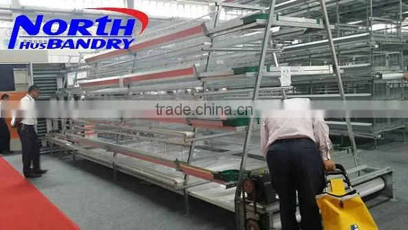 Whloesale Poultry Automatic Feeding Chain System in Poultry Farming Equipment Automatic Chicken Feeder photo-5