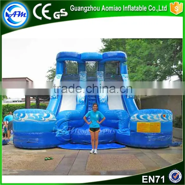 New Design Large Double Inflatable Water Slide,inflatable Titanic Slide Bounce Supplier's Choice photo-4