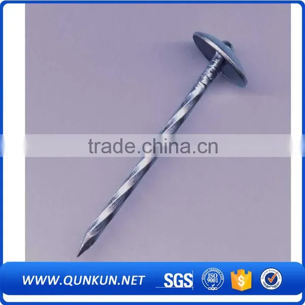 Concrete Nails Electro Galv. Common Nails With Washer photo-6