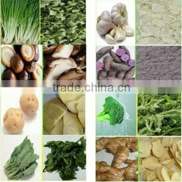 Hot Sale Vegetable Tunnel Microwave Sterilizer photo-6