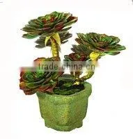 Artificial Bonsai