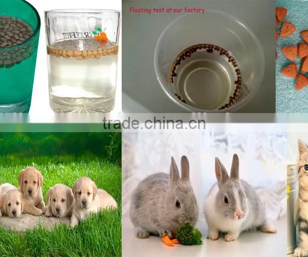 Industrial Floating Fish Feed Pellet Extruding Machine photo-6