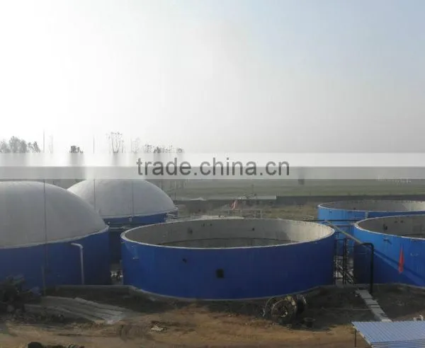 PUXIN 300 Cubic Metre Biogas Plant for Chicken Manure Treatment photo-3