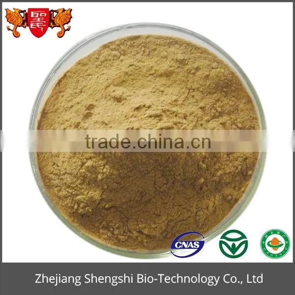 Best Price Food Grade Product Green Organic Mulberry Leaf Extract Powder photo-5