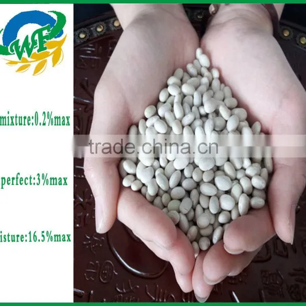 Chinese White Kidney Beans (navy Type) photo-3