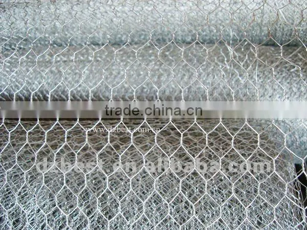 Electro Galvanized Hexagonal Wire Mesh 10mm for Poultry Feeding photo-4