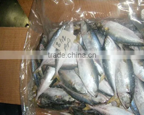 Frozen Fish / Crabs / Shrimps / Clams and Dried Fish Skin & Bones photo-3